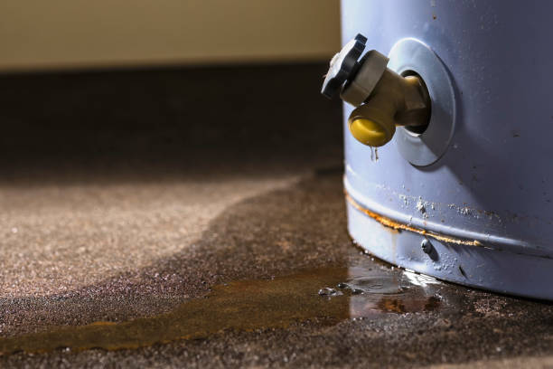 Best Professional water damage repair  in Emerd Mountain, AL