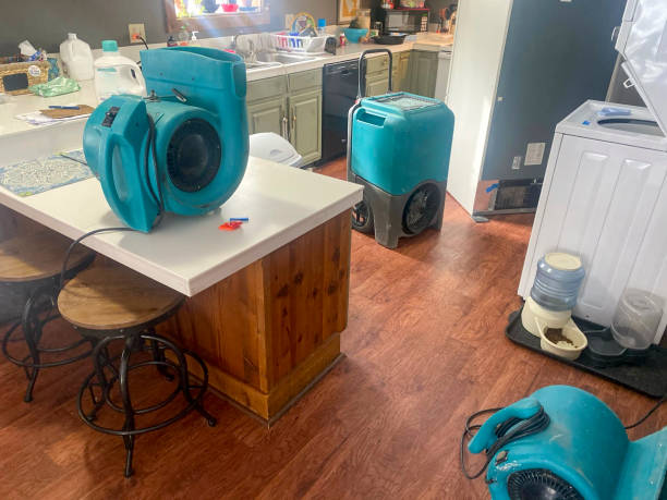 Best Water damage cleanup near me  in Emerd Mountain, AL