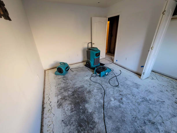 Best Emergency water damage restoration  in Emerd Mountain, AL