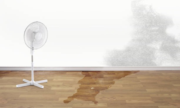 Best Residential water damage restoration  in Emerd Mountain, AL