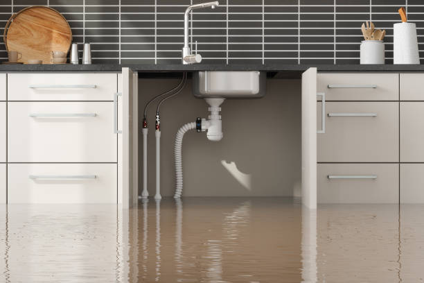 Best Mold removal after water damage  in Emerd Mountain, AL